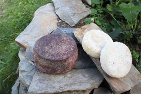 IMG_2498.JPG